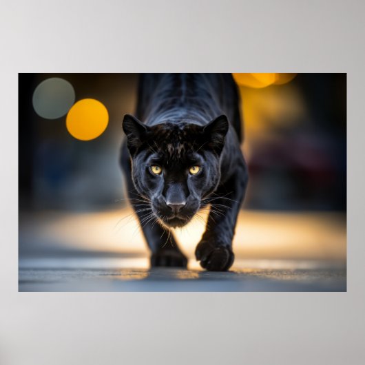 Panther Wildlife Animal Op Straat Poster (Voorkant)