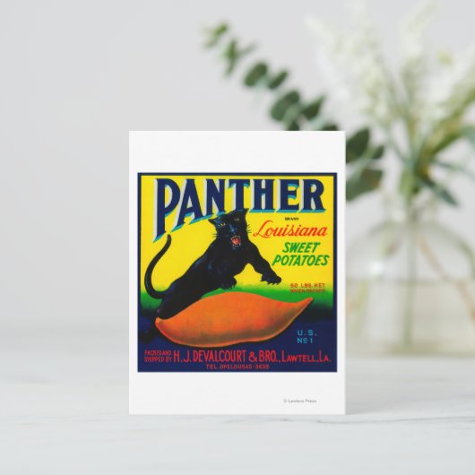 Panther Yam LabelLawtell, LA Briefkaart (Staand voorkant)