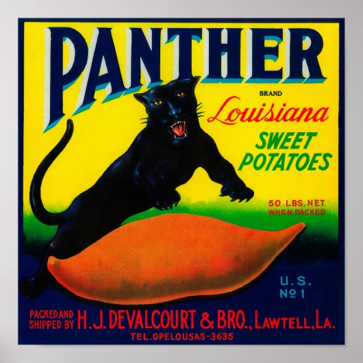 Panther Yam LabelLawtell, LA Poster (Voorkant)