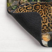 Panthera Jaguar Muismat (Hoek)