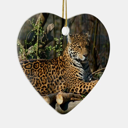 Panthera Jaguar Ornament (Rechts)