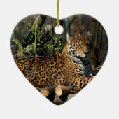 Panthera Jaguar Ornament (Achterkant)