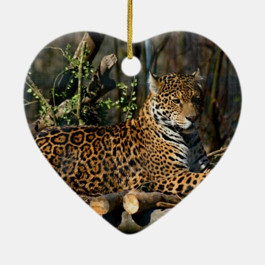 Panthera Jaguar Ornament (Achterkant)