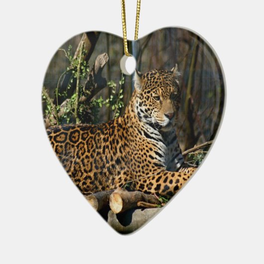 Panthera Jaguar Ornament (Links)