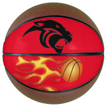Pantherbasketbal