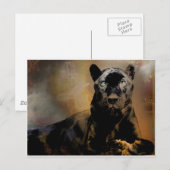 Pantherpuls Briefkaart (Voorkant / Achterkant)