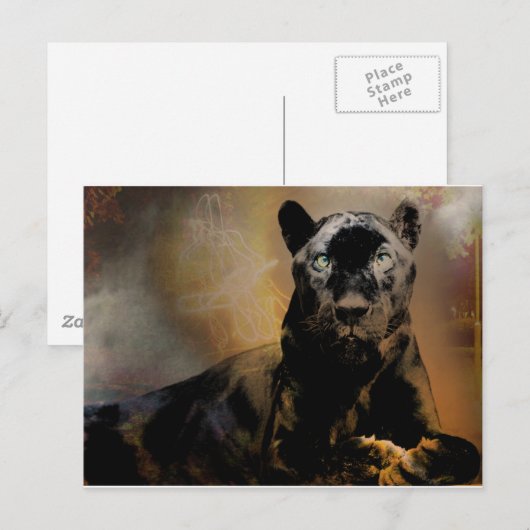 Pantherpuls Briefkaart (Voorkant / Achterkant)