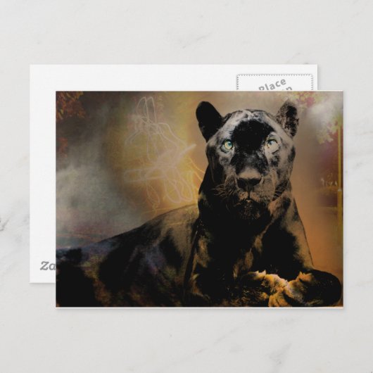 Pantherpuls Briefkaart (Voorkant / Achterkant)