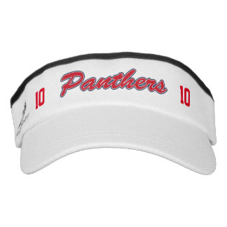 Panthervisor aanpassen zonneklep