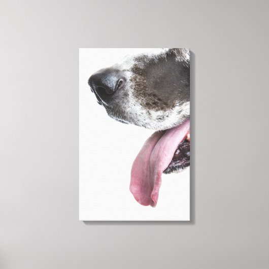 Panting Harlequin Great Dane Canvas Afdruk (Voorkant)