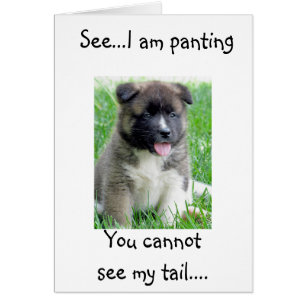 PANTING & TAIL WAGGING POP IN LOVE!