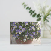 pantserij briefkaart (Staand voorkant)