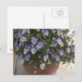 pantserij briefkaart (Voorkant / Achterkant)