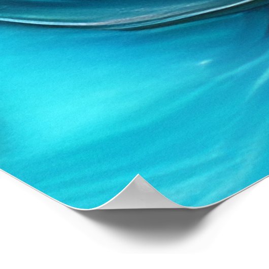 pantserkunst poster (Hoek)