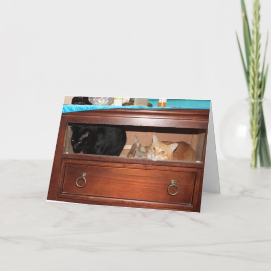 Panty Raid Kaart (Voorkant)