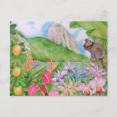 Pão de Açúcar Briefkaart (Voorkant)