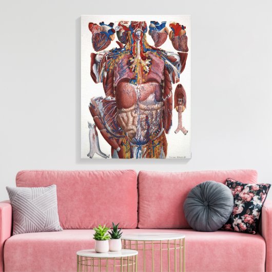 Paolo Mascagni Illustratie van het menselijk visum Canvas Afdruk (Insitu (Woonkamer))