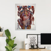 Paolo Mascagni Illustratie van het menselijk visum Poster (Thuiskantoor)