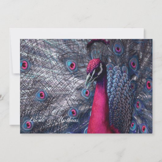 Paon-huwelijk Kaart (Voorkant)