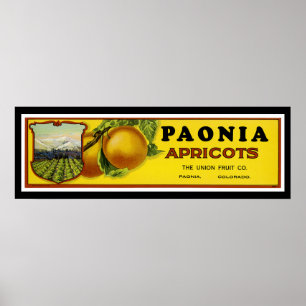 Paonia Abriots Label Art Poster