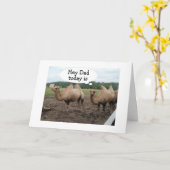 **PAP** KAMELEN ZEGGEN NEE HUMP DAY - HET IS JE VE KAART (Gele Bloem)