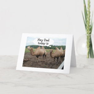 **PAP** KAMELEN ZEGGEN NEE HUMP DAY - HET IS JE VE KAART