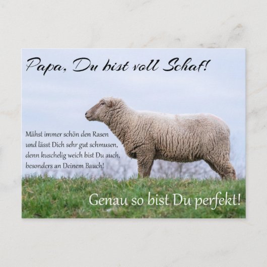 Papa, Du bist voll Schaf! Briefkaart (Voorkant)