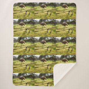 Papa Emu met zijn kip, Sherpa Deken