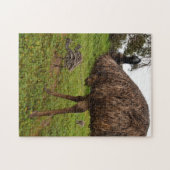 Papa Emu neemt zijn kip mee voor een loopbaan. Legpuzzel (Horizontaal)