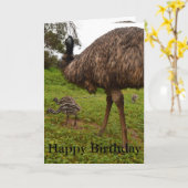 Papa en Baby Emu Chicks, Verjaardag Wenskaart. Kaart (Gele Bloem)