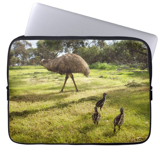 Papa en Baby Emus, Laptop Sleeve (Voorkant)