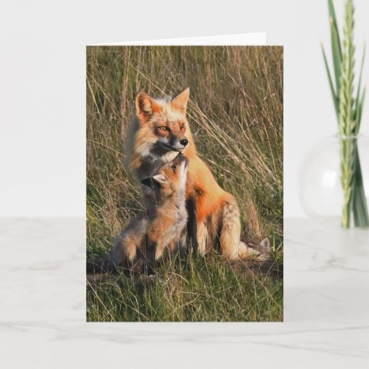 Papa en Baby Fox Frameable Art Kaart (Voorkant)