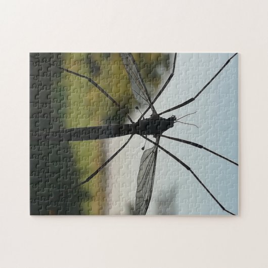 Papa lange poten op een raam. legpuzzel (Horizontaal)