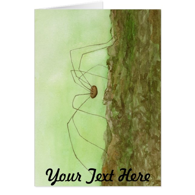 Papa Long Legs (Voorkant)