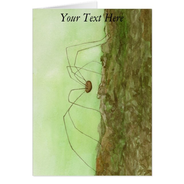 Papa Long Legs (Voorkant)