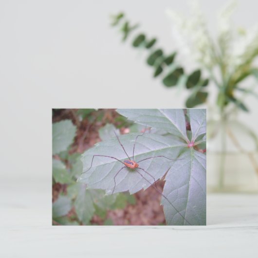 Papa Long Legs Briefkaart (Staand voorkant)