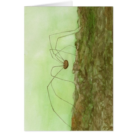 Papa Long Legs Kaart (Voorkant)
