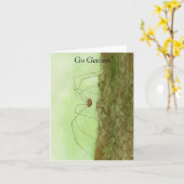 Papa Long Legs Kaart (Gele Bloem)