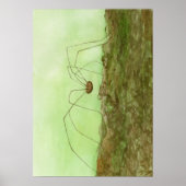 Papa Long Legs Poster (Voorkant)