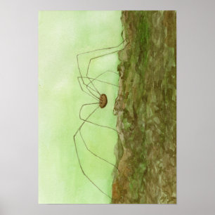 Papa Long Legs Poster