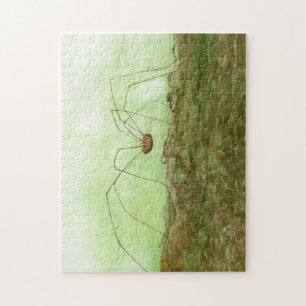 Papa Long Legs Waterverf Puzzle Legpuzzel