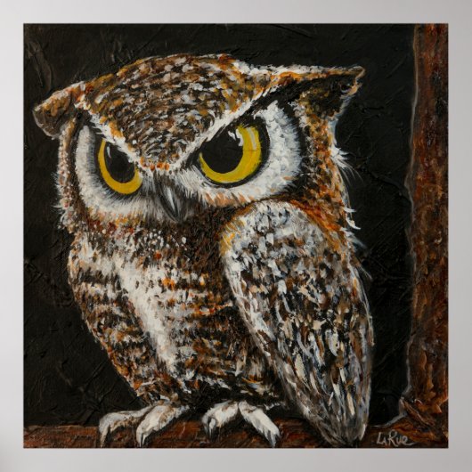 Papa Uil, vogelwijze veren Poster (Voorkant)