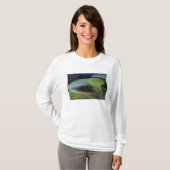 Papagaai veerpatroon ontwerp t-shirt (Voorkant volledig)
