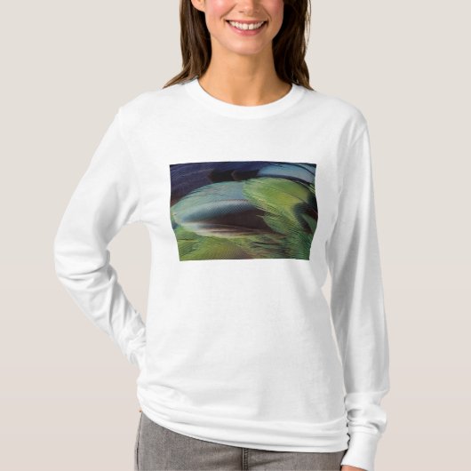 Papagaai veerpatroon ontwerp t-shirt (Voorkant)