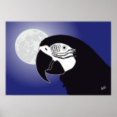 Papagei Ara Poster (Voorkant)