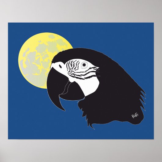Papagei Ara Poster (Voorkant)