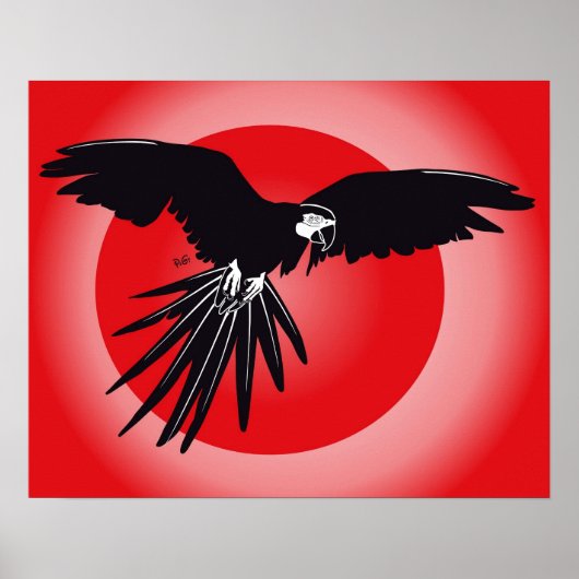 Papagei Ara Poster (Voorkant)