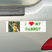 Papagei Bumpersticker (Op auto)