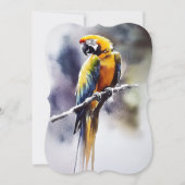 Papagei Feestdagenkaart (Voorkant)