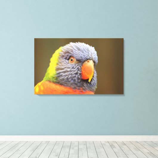 Papagei - Lori Canvas Afdruk (Insitu (Houten vloer))